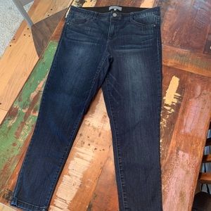 Wit & Wisdom jeggings